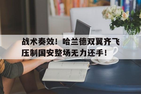 战术奏效！哈兰德双翼齐飞压制国安整场无力还手！被打了还手属于互殴还是正当防卫